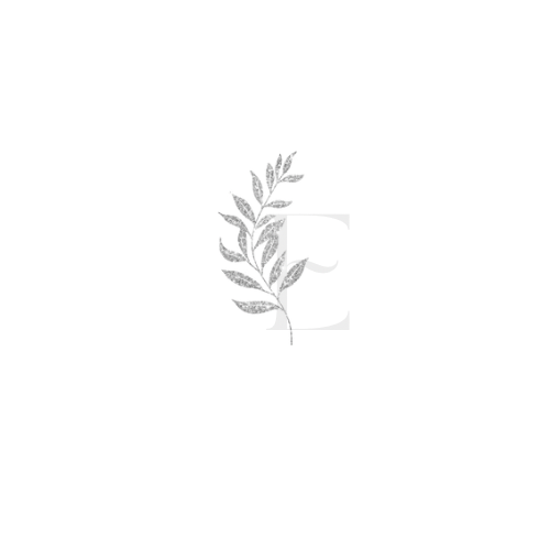 The Elysian Experience